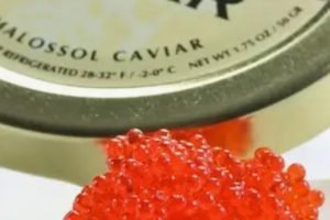 caviar